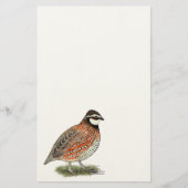 Bobwhite Quail Rooster Briefpapier (Voorkant)