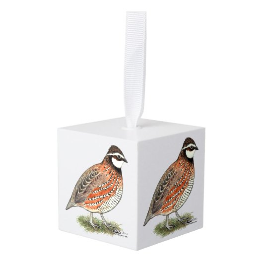 Bobwhite Quail Rooster Decoratie (Voorkant hoekig)