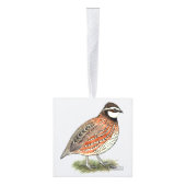 Bobwhite Quail Rooster Decoratie (Rechts)