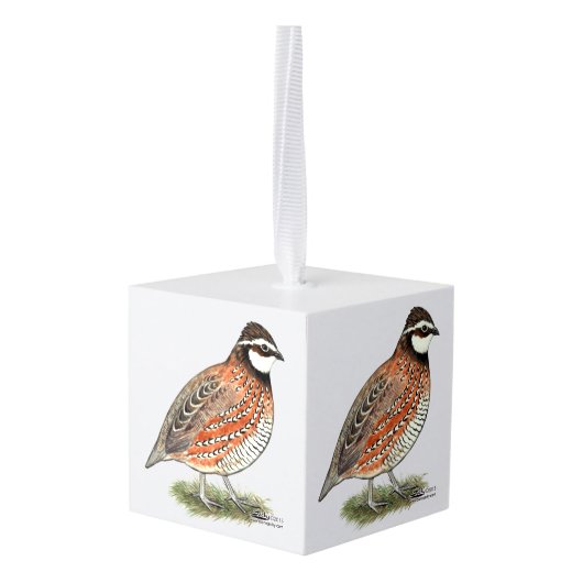 Bobwhite Quail Rooster Decoratie (Achter hoekig)
