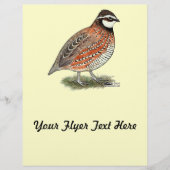 Bobwhite Quail Rooster Flyer (Voorkant)