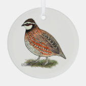 Bobwhite Quail Rooster Glas Ornament (Achterkant)