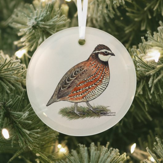 Bobwhite Quail Rooster Glas Ornament (Insitu)
