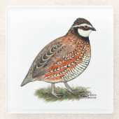 Bobwhite Quail Rooster Glazen Onderzetter (Voorkant)