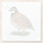 Bobwhite Quail Rooster Glazen Onderzetter (Achterkant)