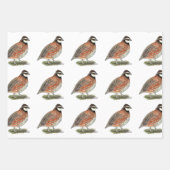 Bobwhite Quail Rooster Inpakpapier Vel (Voorkant 3)