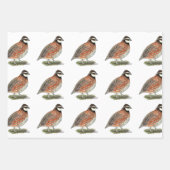 Bobwhite Quail Rooster Inpakpapier Vel (Voorkant 2)