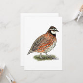Bobwhite Quail Rooster Kaart (Voorkant / Achterkant in situ)