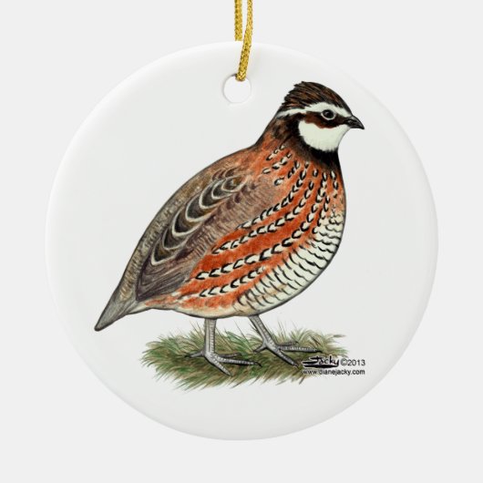 Bobwhite Quail Rooster Keramisch Ornament (Voorkant)
