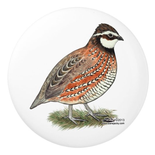 Bobwhite Quail Rooster Keramische Knop (Voorkant)