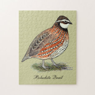 Bobwhite Quail Rooster Legpuzzel