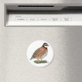 Bobwhite Quail Rooster Magneet (Insitu (Vaatwasser))