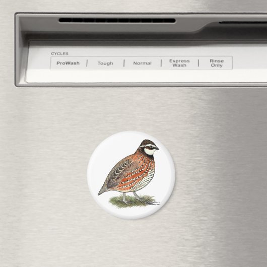 Bobwhite Quail Rooster Magneet (Insitu (Vaatwasser))