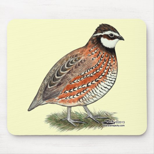 Bobwhite Quail Rooster Muismat (Voorkant)