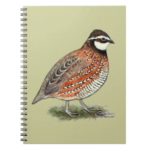 Bobwhite Quail Rooster Notitieboek