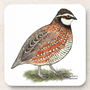 Bobwhite Quail Rooster Onderzetter