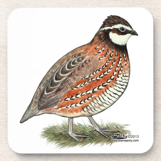 Bobwhite Quail Rooster Onderzetter (Voorkant)
