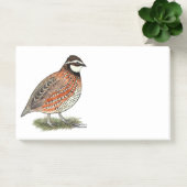 Bobwhite Quail Rooster Post-it® Notes (Kantoor)