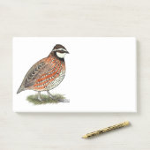 Bobwhite Quail Rooster Post-it® Notes (Op bureau)