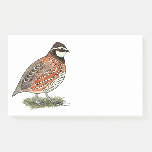 Bobwhite Quail Rooster Post-it® Notes (Voorkant)