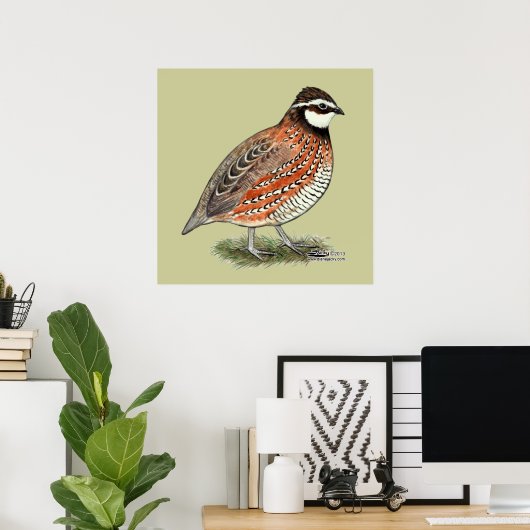 Bobwhite Quail Rooster Poster (Thuiskantoor)