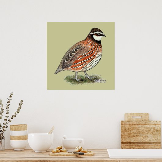 Bobwhite Quail Rooster Poster (Keuken)