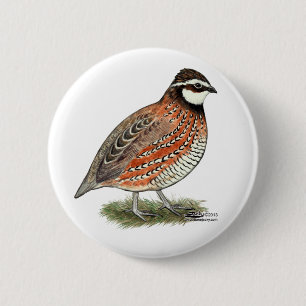 Bobwhite Quail Rooster Ronde Button 5,7 Cm