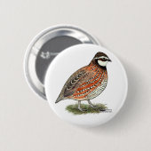 Bobwhite Quail Rooster Ronde Button 5,7 Cm (Voorkant /achterkant)
