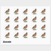 Bobwhite Quail Rooster Ronde Sticker (Vel)