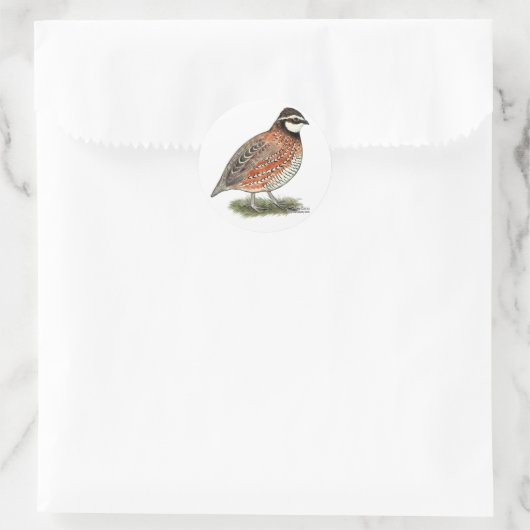 Bobwhite Quail Rooster Ronde Sticker (Tas)