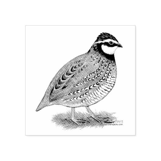 Bobwhite Quail Rooster Rubberstempel (Afrduk)