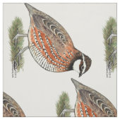 Bobwhite Quail Rooster Stof (Swatch)