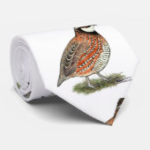 Bobwhite Quail Rooster Stropdas (Opgerold)