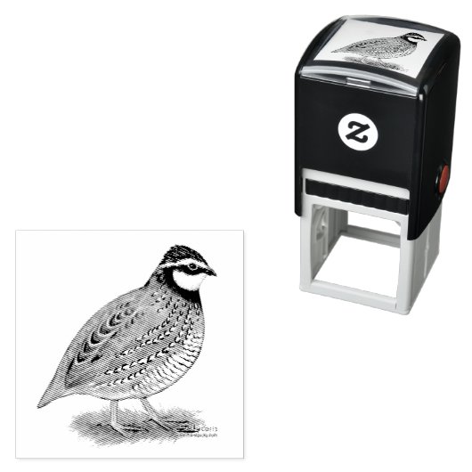 Bobwhite Quail Rooster Zelfinktende Stempel (In situ)