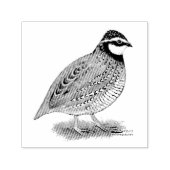 Bobwhite Quail Rooster Zelfinktende Stempel (Design)