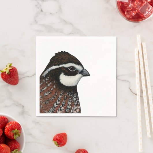 Bobwhite Quail Servet (Insitu)