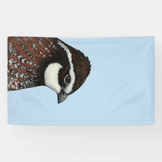 Bobwhite Quail Spandoek (Horizontaal)