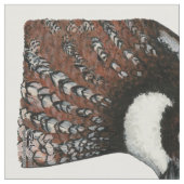 Bobwhite Quail Stof (Close Up)