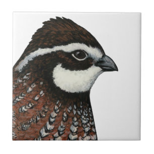 Bobwhite Quail Tegeltje