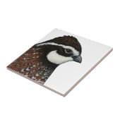 Bobwhite Quail Tegeltje (Zijkant)