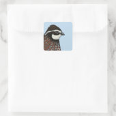 Bobwhite Quail Vierkante Sticker (Tas)