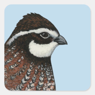 Bobwhite Quail Vierkante Sticker