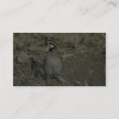 Bobwhite Quail Visitekaartje (Achterkant)