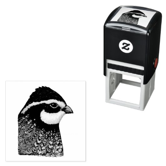 Bobwhite Quail Zelfinktende Stempel (In situ)