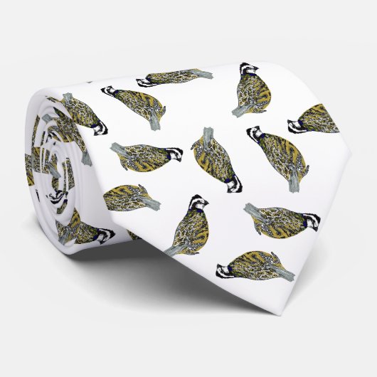 Bobwhite Toss Stropdas (Opgerold)