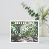 Boca Grande, Gasparilla Island, Florida Banyans Briefkaart (Staand voorkant)