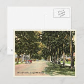 Boca Grande, Gasparilla Island  street Briefkaart (Voorkant / Achterkant)