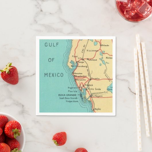 Boca Grande Useppa Florida servetten (Insitu)