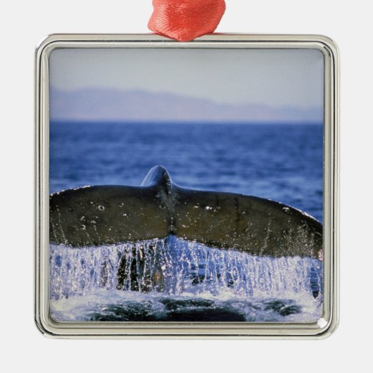 Bochelstaart. Metalen Ornament (Voorkant)