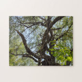 Bochten en Gebogen Wilg Legpuzzel (Horizontaal)